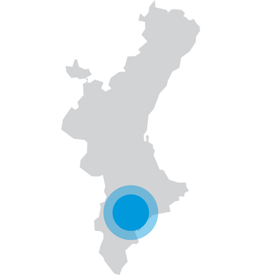 ALICANTE